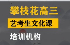 攀枝花艺体生文化课培训学校,高三艺考文化课培训机构