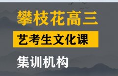 攀枝花传媒生文化课培训怎么收费,高三文化课集训机构