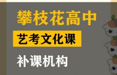 攀枝花音乐生文化课集训怎么收费,高中艺考文化课补课班