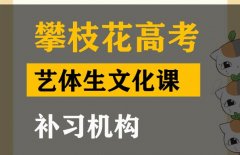 攀枝花体育生文化课补习机构,高中文化课集训学校