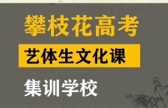 攀枝花艺体生文化课集训怎么收费,高三文化课提分学校