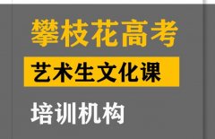 攀枝花音乐生文化课集训机构,高考艺术生文化课集训机构