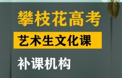 攀枝花音乐生文化课补习怎么收费,高考文化课提分班