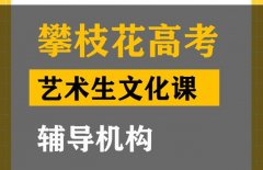 攀枝花艺术生文化课冲刺机构,高考艺术生文化课提分机构