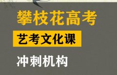 攀枝花体育生文化课培训哪家好,高考文化课冲刺班