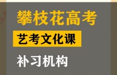 攀枝花传媒生文化课冲刺班,高三文化课补习机构