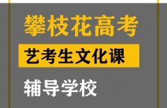 攀枝花艺体生文化课辅导学校,高考文化课培训班