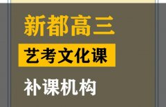 成都金牛区艺考文化课冲刺学校,高三艺考生文化课补课机构