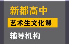 成都青羊区传媒生文化课