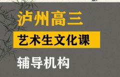 崇州市体育生文化课集训学校,高三艺术生文化课辅导机构