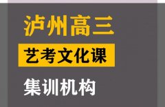 泸州体育生文化课冲刺机构,高考文化课集训机构