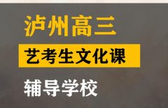 泸州体育生文化课培训怎么收费,高三艺考生文化课辅导班