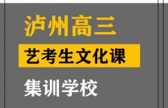 泸州传媒生文化课集训机构,高三艺术生文化课集训学校