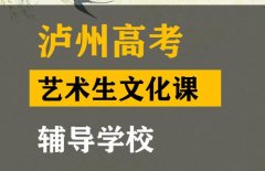 泸州美术生文化课辅导怎么收费,高考文化课冲刺学校