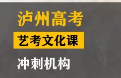 泸州音乐生文化课辅导哪家好,高考艺考生文化课冲刺班