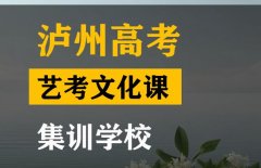 泸州艺术生文化课补习哪家好,高中艺考文化课集训学校