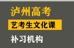 彭州市体育生文化课补习中心,高考艺考生文化课补习机构