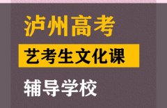 泸州艺考生文化课冲刺学校,高考文化课辅导学校