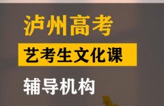 泸州艺考生文化课辅导学校,高中文化课提分机构