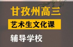 甘孜艺术生文化课补习班,高三艺考生文化课辅导学校