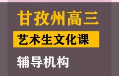 甘孜美术生文化课培训哪家好,高三艺术生文化课辅导班