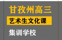 甘孜传媒生文化课辅导机构,高三文化课集训学校