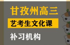 甘孜音乐生文化课培训机构,高三文化课补习机构