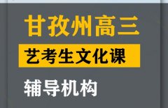 甘孜艺考生文化课辅导怎么收费,高中文化课提分班