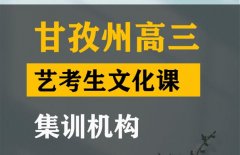 甘孜体育生文化课培训学校,高三艺考生文化课集训机构