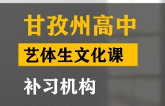 甘孜体育生文化课补习机构,高三文化课冲刺班