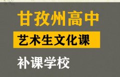 甘孜音乐生文化课补习怎么收费,高中艺术生文化课补课学校