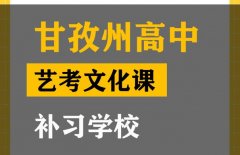 甘孜体育生文化课补习班,高考文化课补习班