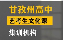 甘孜音乐生文化课集训哪家好,高三文化课集训班