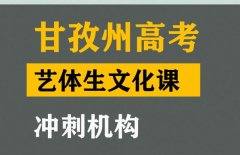 甘孜艺术生文化课冲刺机构,高考文化课提分机构