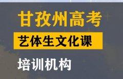 甘孜艺体生文化课培训怎么收费,高中文化课补习机构