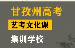 甘孜艺考生文化课补习机构,高中艺考文化课集训学校