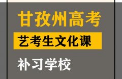 甘孜艺考生文化课补习学校,高中文化课补课机构