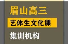 眉山艺体生文化课集训哪家好,高中文化课补习班