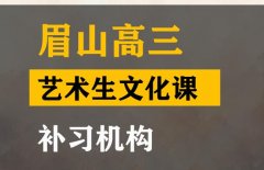 眉山艺术生文化课冲刺怎么收费,高三艺术生文化课提分机构