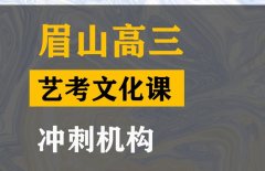 眉山美术生文化课集训哪家好,高考文化课冲刺机构