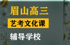 峨眉山市舞蹈生文化课集训中心,高三艺考文化课辅导学校