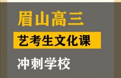 乐山体育生文化课辅导怎么收费,高三艺考生文化课冲刺学校