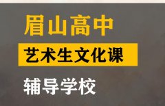 眉山音乐生文化课补习哪家好,高中艺术生文化课辅导班