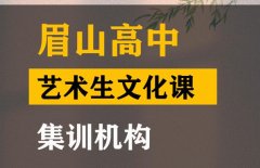 眉山艺术生文化课集训机构,高中文化课冲刺机构