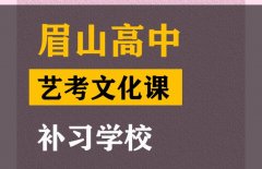 眉山艺考2024文化分要求是多少,高三文化课补习班