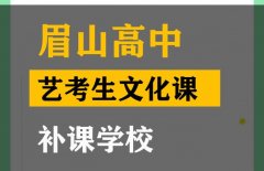 眉山艺考生文化课冲刺班,高考文化课补课班