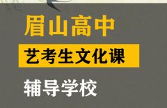 眉山艺考生文化课辅导学校,高考艺考文化课提分班