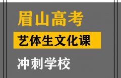 眉山美术生文化课集训怎么收费,高考艺考生文化课冲刺学校