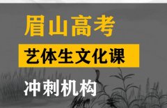 峨眉山市表演生文化课补课机构,高考艺术生文化课冲刺机构