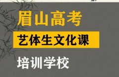 眉山艺体生文化课培训哪家好,高中文化课提分学校